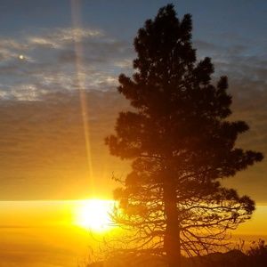 Meet your Posher, Teresa